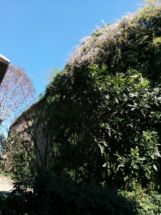 Appartamento Honey House Parma